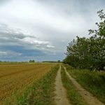 Umocnienia Twierdzy Brzeskiej „Bateria Kolonia Dobratycze”