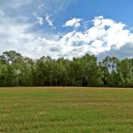 Umocnienia Twierdzy Brzeskiej „Bateria Kolonia Dobratycze”