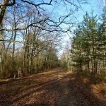 Słowiańskie ślady