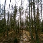 Słowiańskie ślady