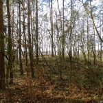 Słowiańskie ślady