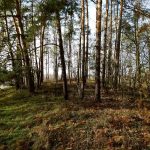 Słowiańskie ślady