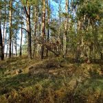 Słowiańskie ślady