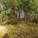 Słowiańskie ślady