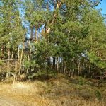 Słowiańskie ślady