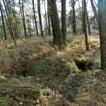 Słowiańskie ślady