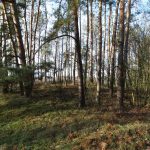 Słowiańskie ślady