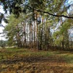 Słowiańskie ślady