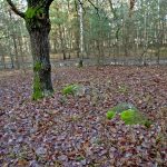 Słowiańskie ślady