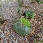 Słowiańskie ślady