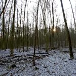 Słowiańskie ślady