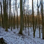 Słowiańskie ślady