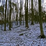 Słowiańskie ślady