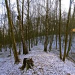 Słowiańskie ślady