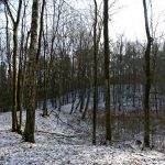 Słowiańskie ślady