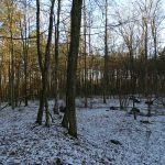 Słowiańskie ślady