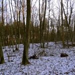 Słowiańskie ślady