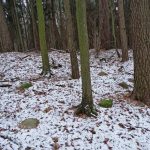 Słowiańskie ślady