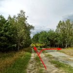 Umocnienia Twierdzy Brzeskiej „Bateria Kolonia Dobratycze”