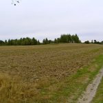 Umocnienia Twierdzy Brzeskiej „Bateria Kolonia Dobratycze”