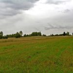 Umocnienia Twierdzy Brzeskiej „Bateria Kolonia Dobratycze”