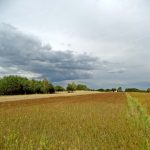 Umocnienia Twierdzy Brzeskiej „Bateria Kolonia Dobratycze”