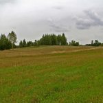 Umocnienia Twierdzy Brzeskiej „Bateria Kolonia Dobratycze”