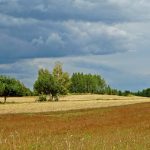 Umocnienia Twierdzy Brzeskiej „Bateria Kolonia Dobratycze”