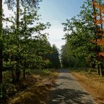 Na tropie lotniczych historii