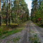 Na tropie lotniczych historii