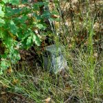 Na tropie lotniczych historii