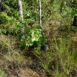 Na tropie lotniczych historii