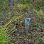 Na tropie lotniczych historii