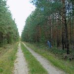 Na tropie lotniczych historii