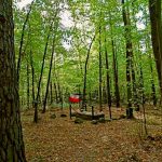 Na tropie lotniczych historii