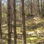 Słowiańskie ślady