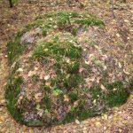 Słowiańskie ślady