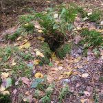 Słowiańskie ślady