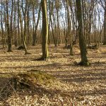 Słowiańskie ślady