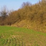 Docieramy do skrzyżowania dróg na skraju lasu. Polna droga, którą przyjechaliśmy z południa w tym miejscu rozchodzi się w dwóch kierunkach poruszając się nią w kierunku zachodnim dotrzecie do „Fortu Lit. L”. Natomiast, jeżeli swe kroki skierujemy w kierunku wschodnim dotrzemy w pobliże „Baterii Alteryjskiej Kolonia Dobratycze”.