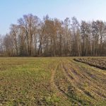 Umocnienia Twierdzy Brzeskiej „Bateria Kolonia Dobratycze”