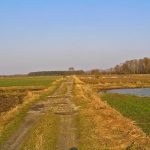 Umocnienia Twierdzy Brzeskiej „Bateria Kolonia Dobratycze”