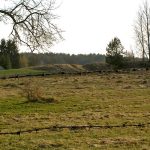 Umocnienia Twierdzy Brzeskiej „Bateria Kolonia Dobratycze”