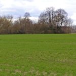 Docieramy do skrzyżowania dróg na skraju lasu. Polna droga, którą przyjechaliśmy z południa w tym miejscu rozchodzi się w dwóch kierunkach poruszając się nią w kierunku zachodnim dotrzecie do „Fortu Lit. L”. Natomiast, jeżeli swe kroki skierujemy w kierunku wschodnim dotrzemy w pobliże „Baterii Alteryjskiej Kolonia Dobratycze”.