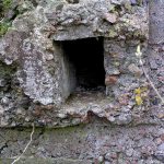 Umocnienia Twierdzy Brzeskiej „Bateria Kolonia Dobratycze”