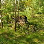 Umocnienia Twierdzy Brzeskiej „Bateria Kolonia Dobratycze”