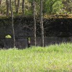 Umocnienia Twierdzy Brzeskiej „Bateria Kolonia Dobratycze”