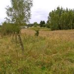 Umocnienia Twierdzy Brzeskiej „Bateria Kolonia Dobratycze”