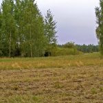 Umocnienia Twierdzy Brzeskiej „Bateria Kolonia Dobratycze”