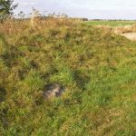 Słowiańskie ślady